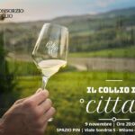 Locandina Collio